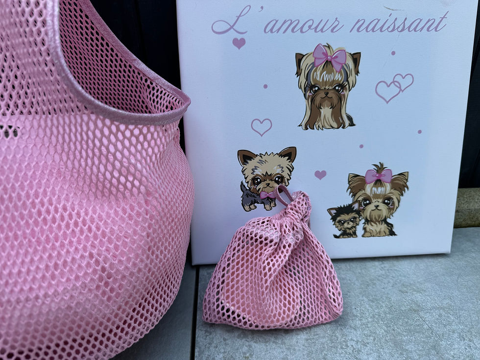Miniature : Sac de transport été rose