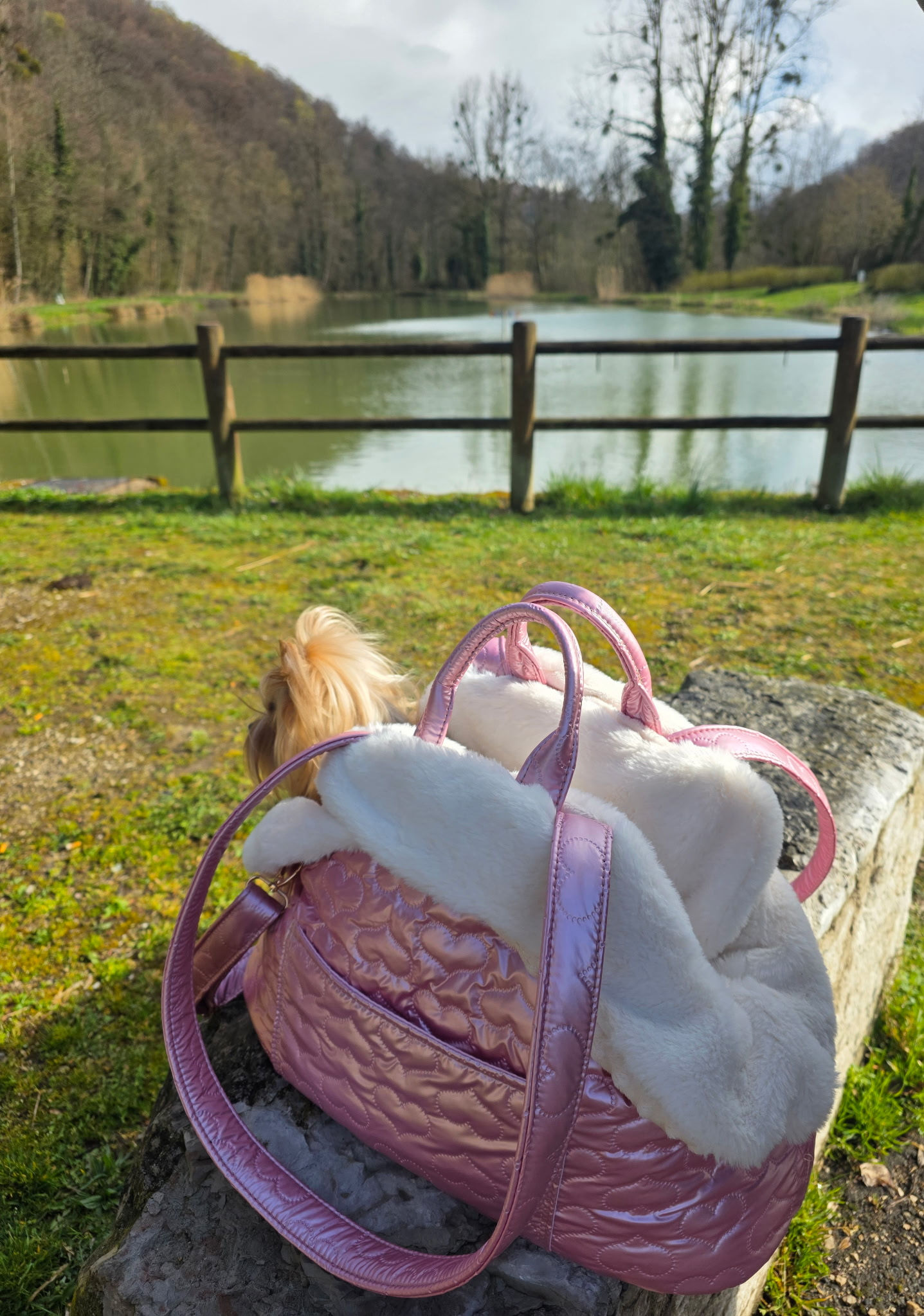 Housse pour sac de transport DOLCE VITA