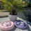 Miniature : Dodo rond collection fleur