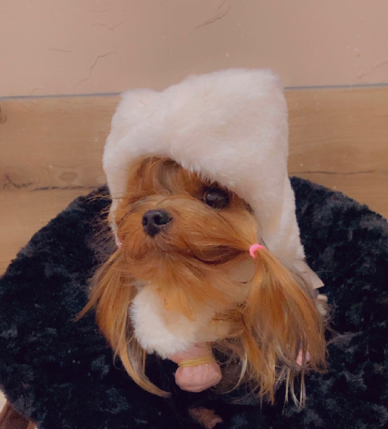 Bonnet avec couverture beige