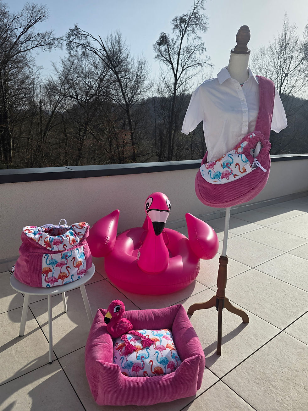 Miniature : Dodo rectangle collection flamand rose