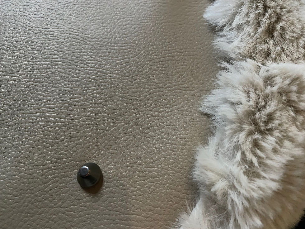 Miniature : Ensemble Sac de transport en fourrure + housse