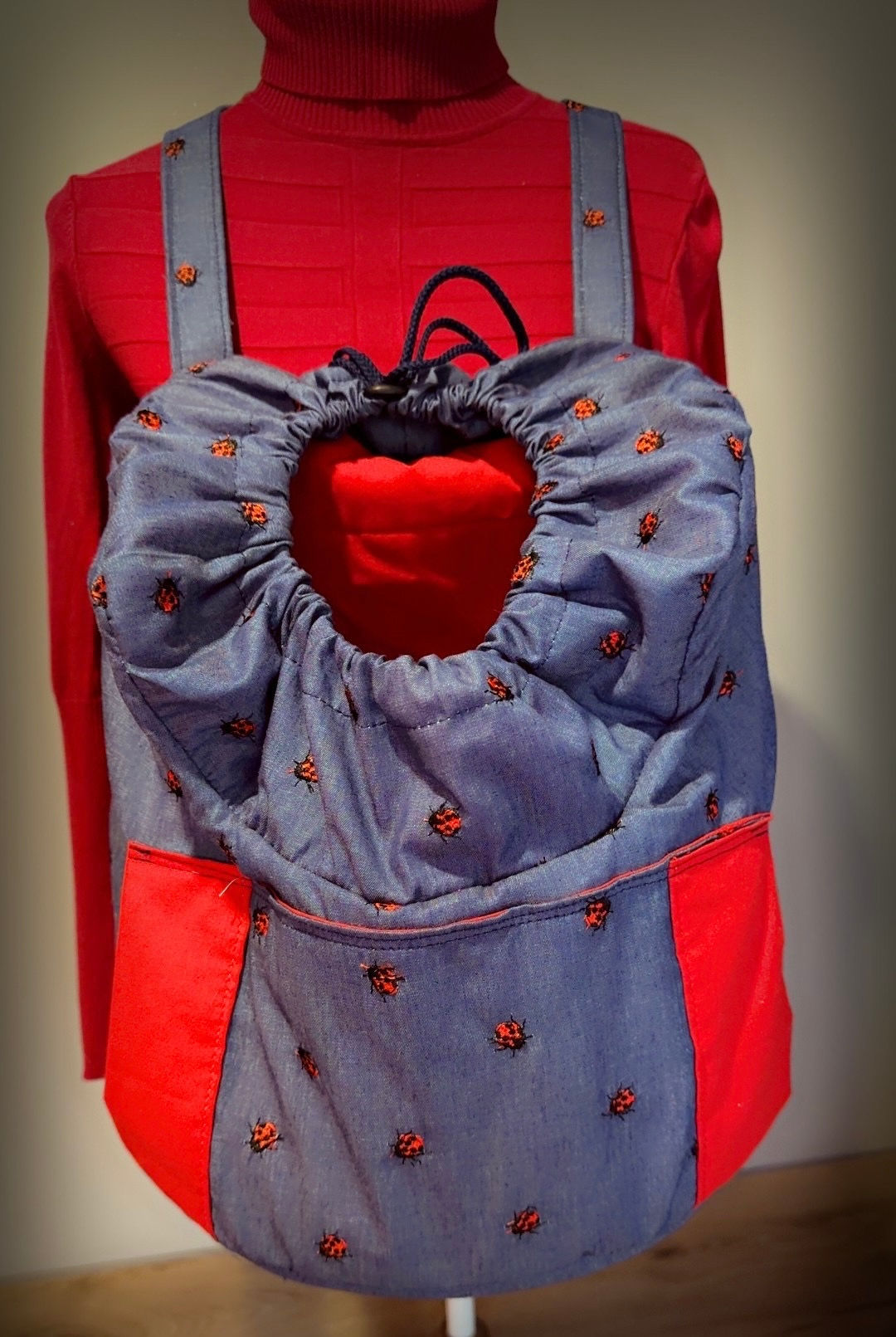 Sac ventral coccinelle