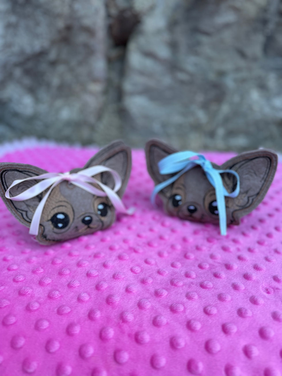 Boîte à cadeau Chihuahua
