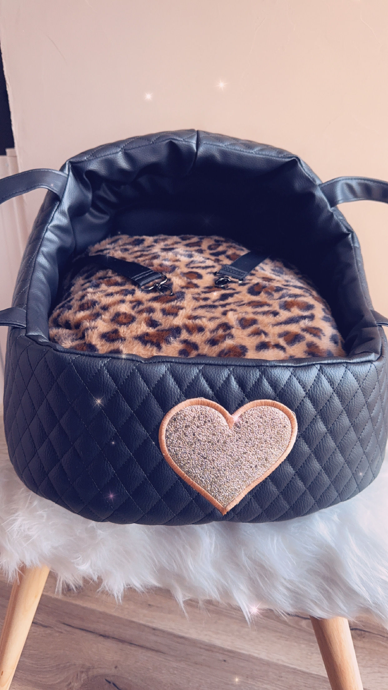 Siège auto dôme transportable