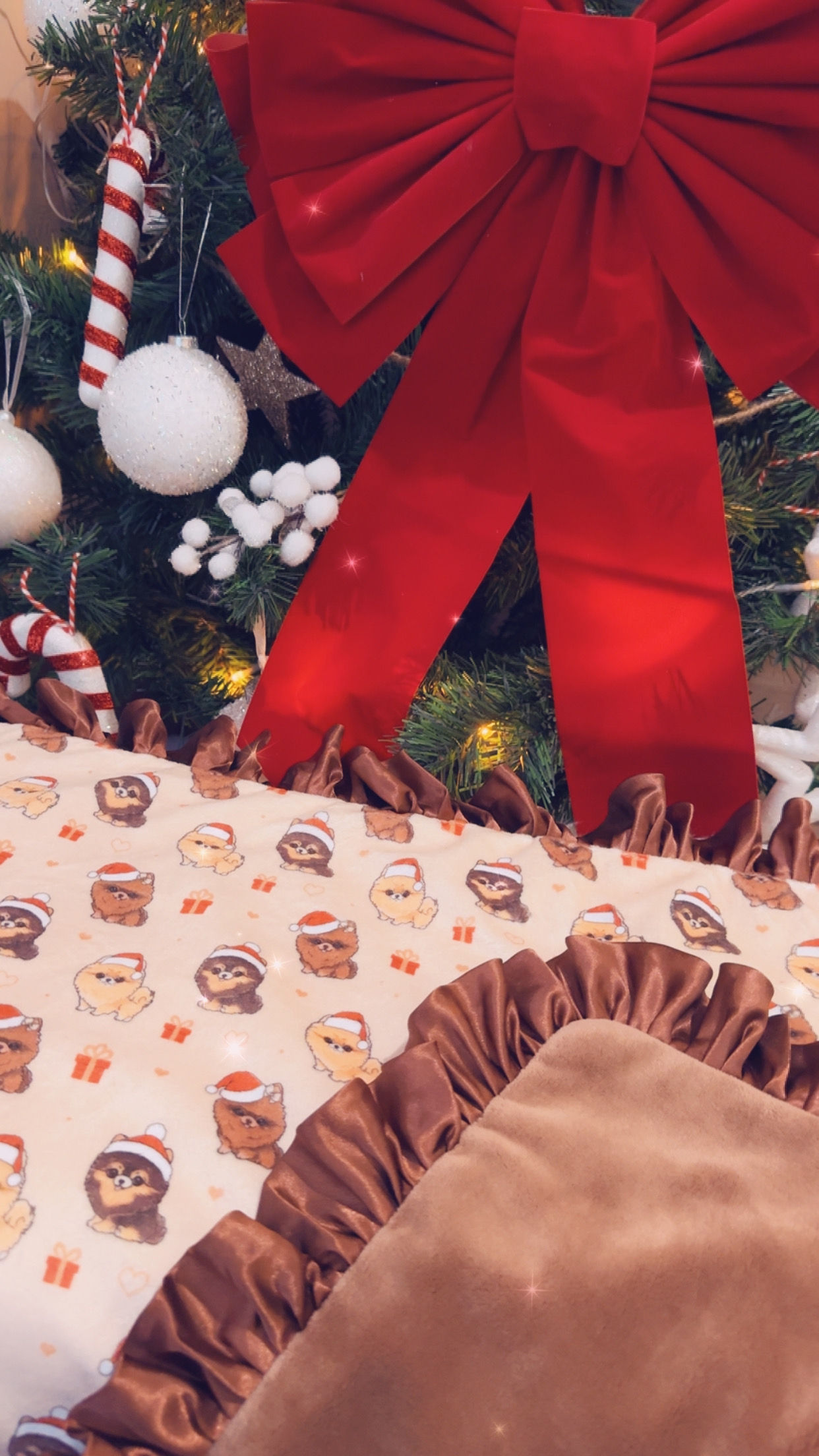 Couverture Pomeranien avec satin