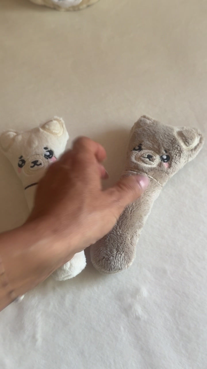 Miniature : Hochet Chihuahua