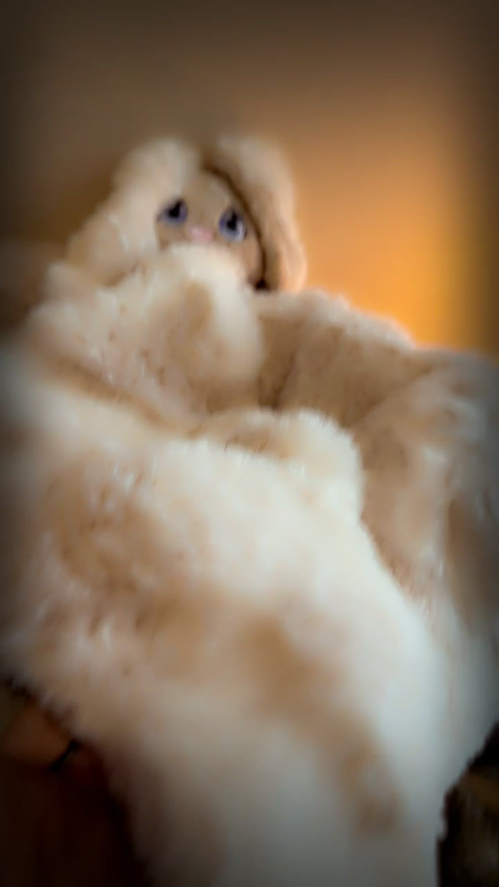 Miniature : Doudou couverture