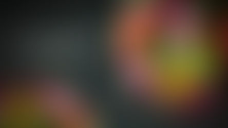 Shopping For Flowers Online: Have A Sleek Encounter