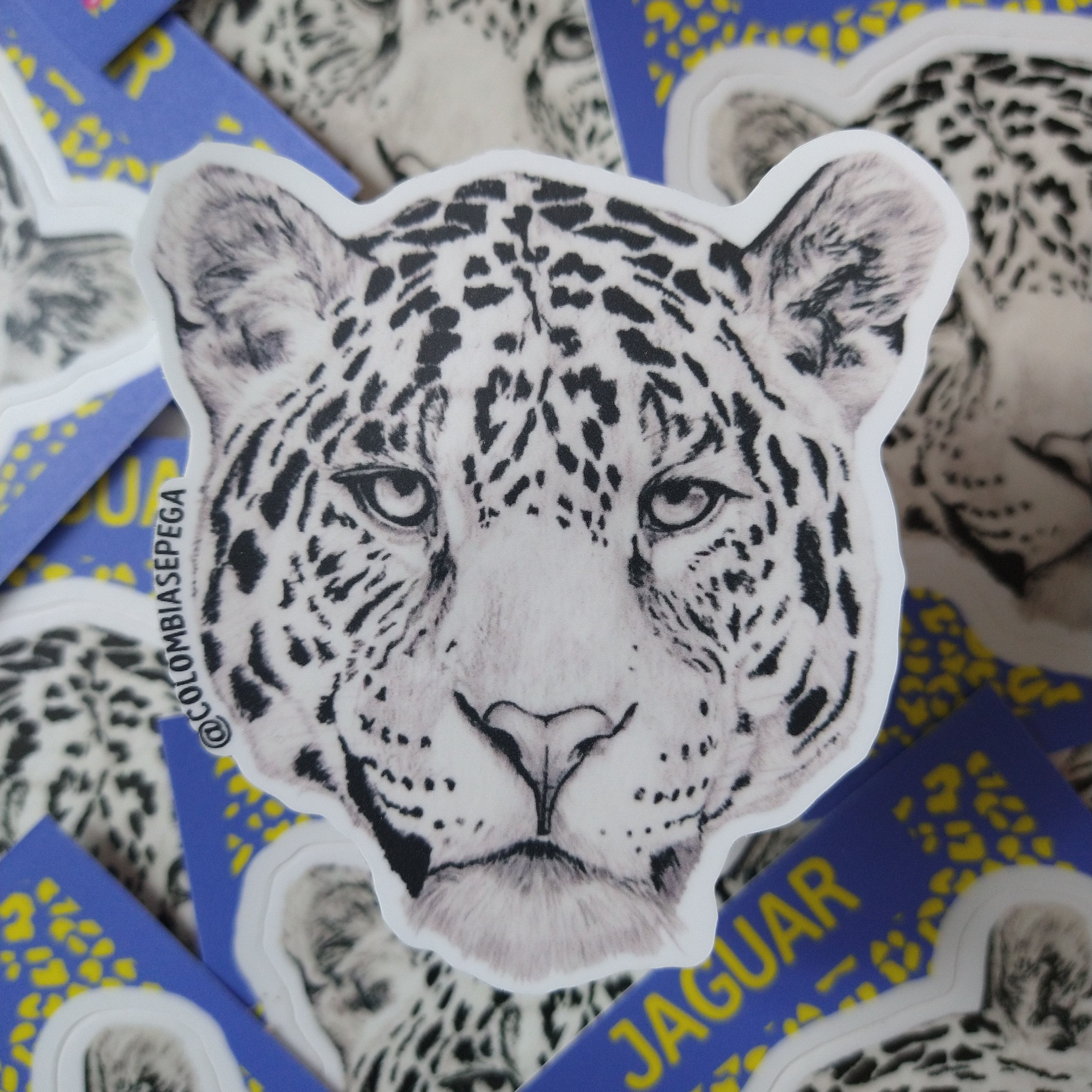 Sticker Jaguar - Panthera onca