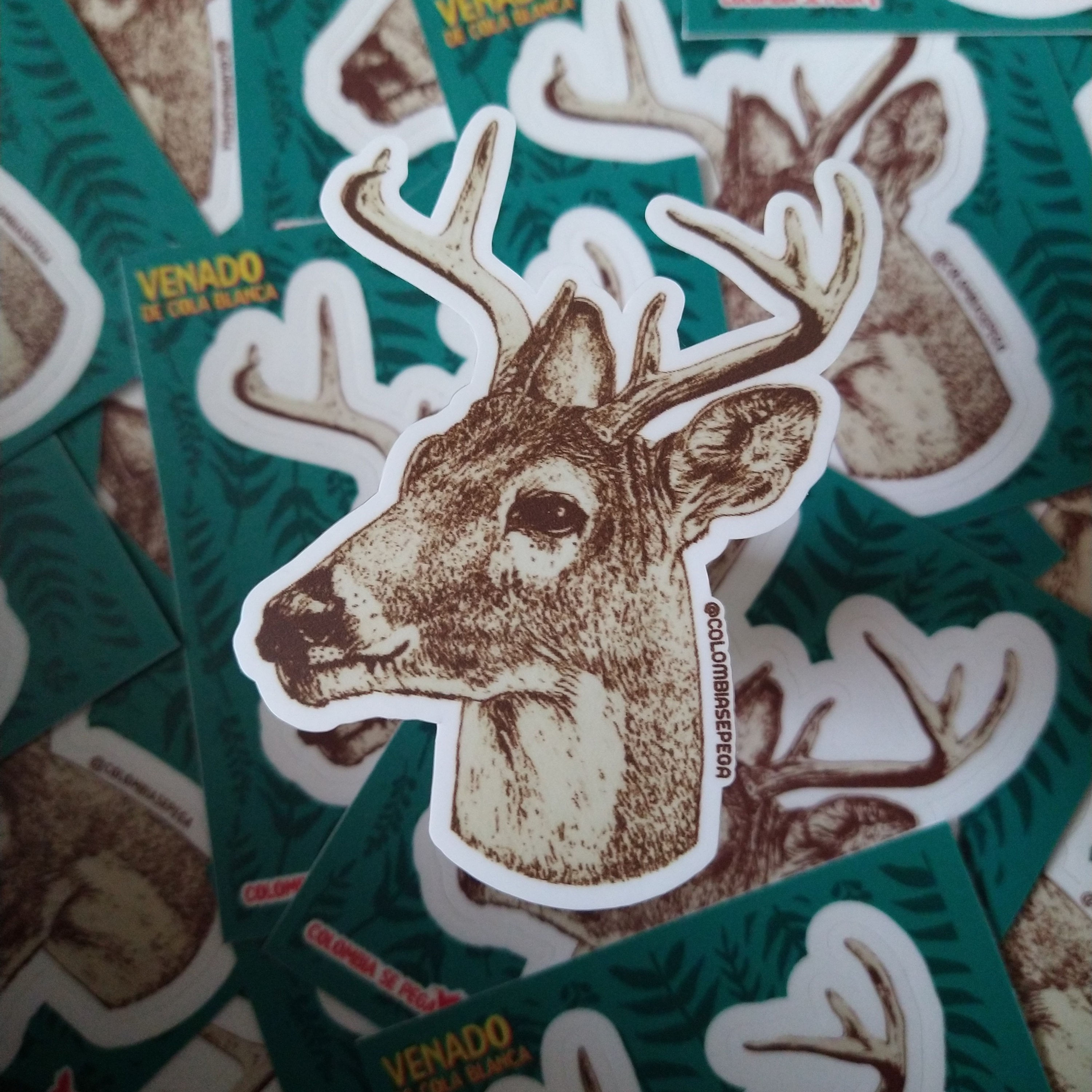Sticker Venado - Odocoileus virginianus