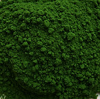 Verdant_edited_edited_edited_edited_edited_edited.jpg