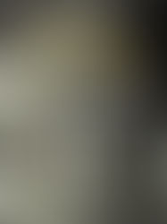 The New York Trilogy