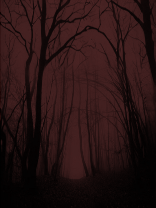image0 (13).png