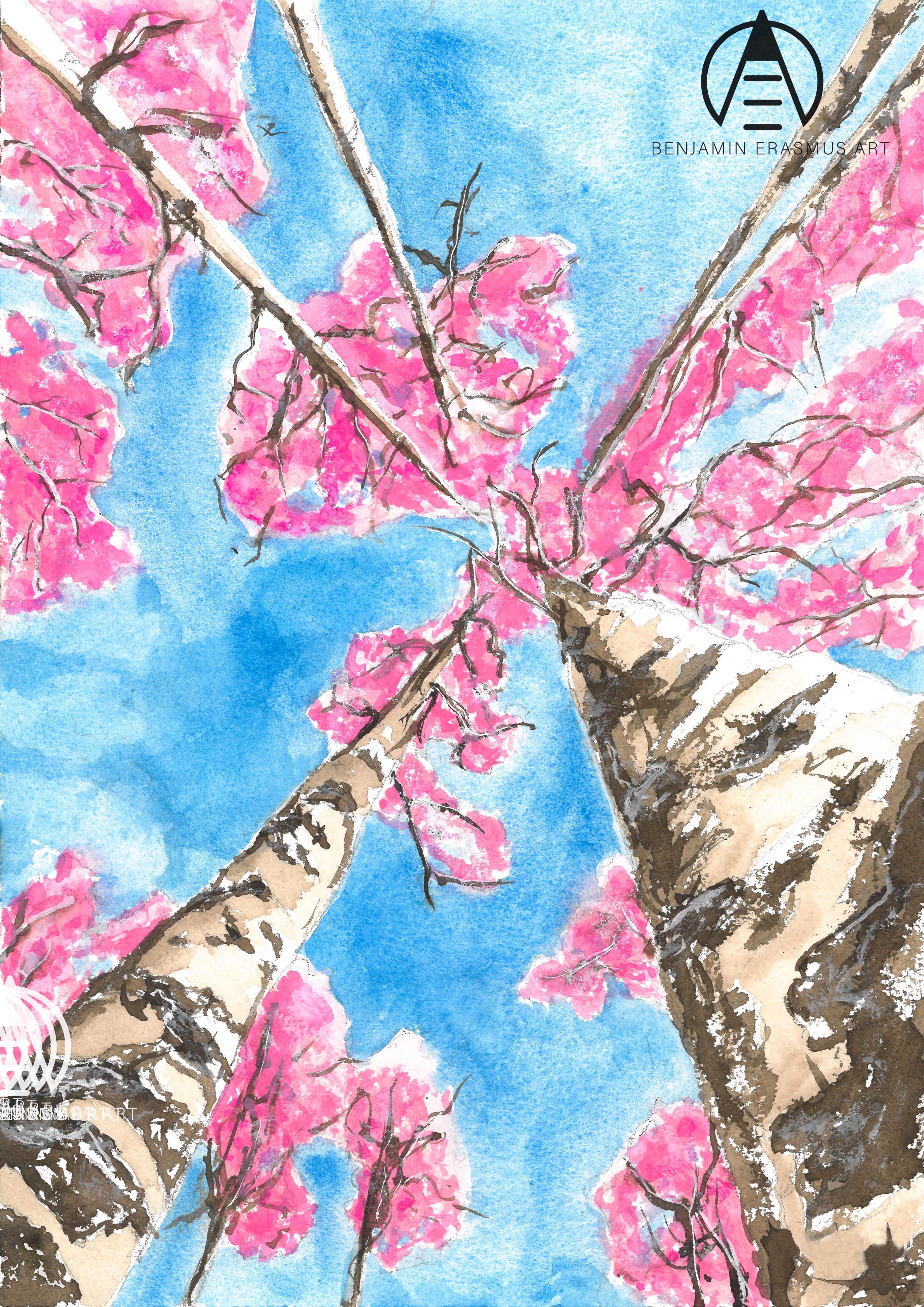 Silver Birch Forrest - PRINT