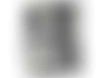 « Pour Gisèle Caumont » Conférence donnée par Jean-Claude Noël, à l’Institut national d’histoire de l’art en 2016.