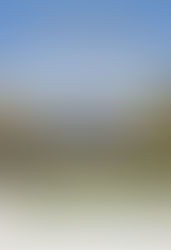 Le 19 juin à 18 h, autour d’un verre, présentation du livre « André Malraux et la politique » au CEVIPOF-Sciences Po Paris (Actes du colloque des 23 et 24 novembre 2023 sous la direction de Janine ...