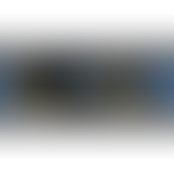 « Maillol au Carrousel. L’histoire mouvementée d’un jardin de sculptures »conférence présentée par Emmanuelle Héran, responsable des collections des jardins du musée du Louvre, à l’Auditorium Miche...