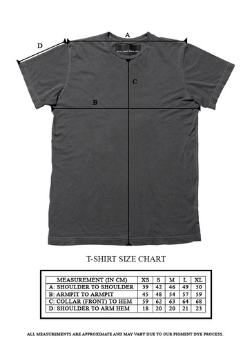 DAVIDLINDWALL Tシャツ XLサイズ　大幅値下げ！！ DAVIDLINDWALL Tシャツ XLサイズ 大幅値下げ！！ DAVIDLINDWALL T