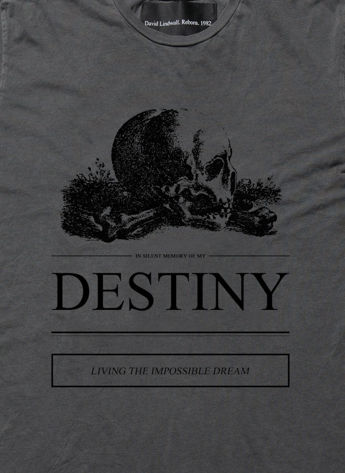 Thumbnail: Destiny