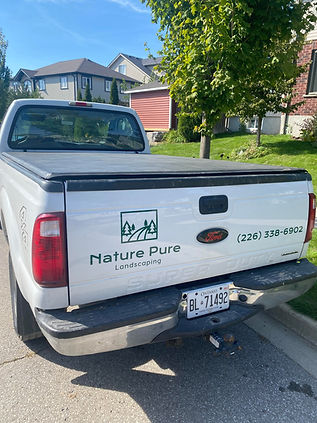 truck pic (back).jpg