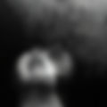 AdobeStock_207329629.jpeg