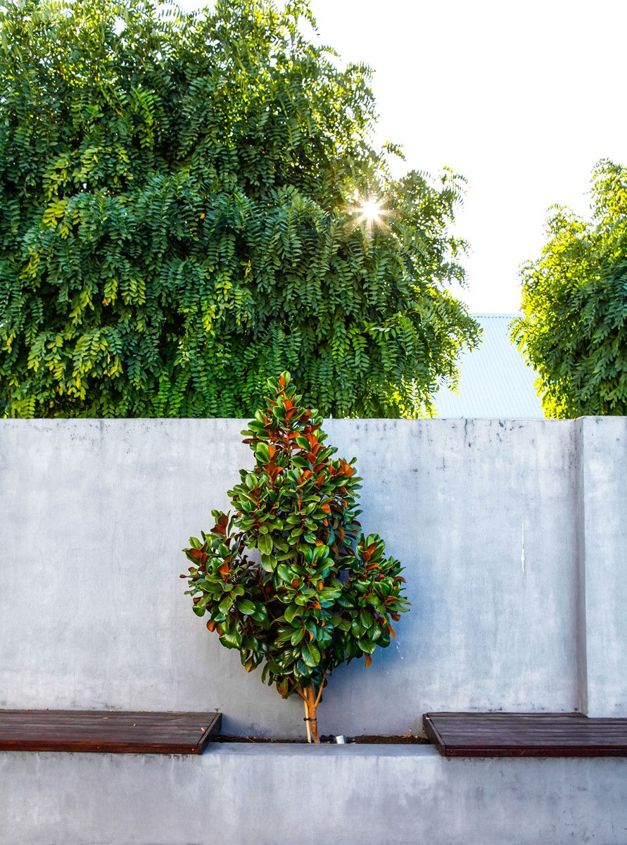 Thumbnail: Porter's Paints - Lime Wash Paint