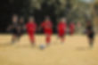 54076874141_c3aab02094_4k.jpg