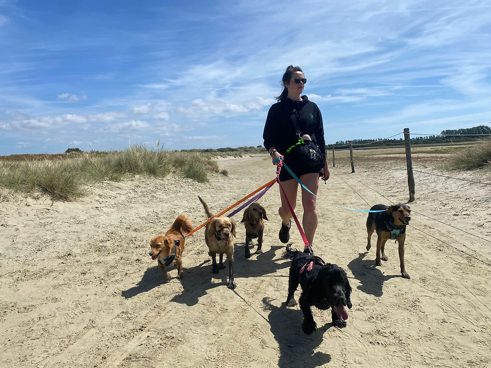 Beach Adventure Day