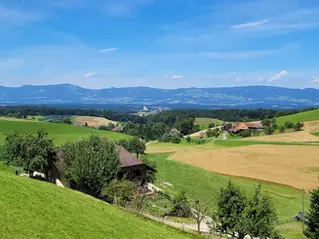 Sonntagsausfahrt 3. Mai 2026