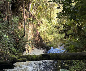 Precioso campo en Chiloe, orilla de Rio Natri, acceso ruta 5 