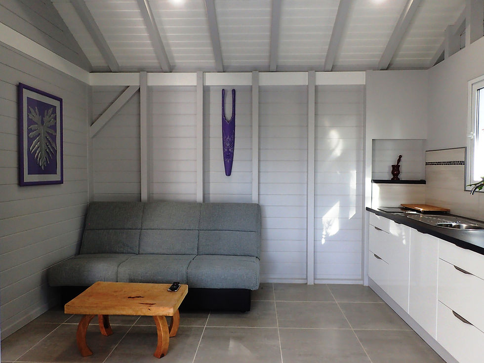 Le salon et la Cuisine