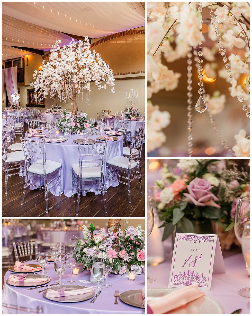 Rancho Los Guzman Events Quinceañera Photographer Joliet IL Wedding Photography