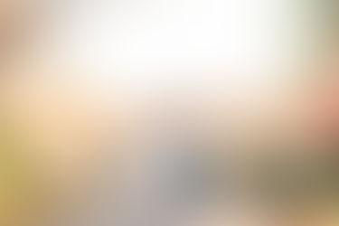 Romantic fall engagement session with Emily and Jacob at Channahon State Park, filled with warm sunset light and autumn colors.