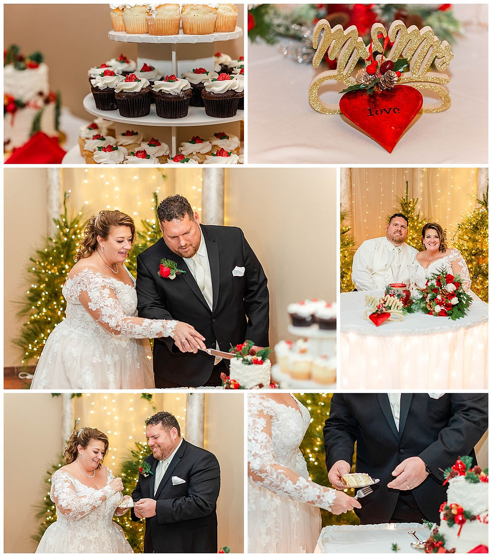 a-christmas-theme-wedding-at-bird-haven-joliet-il-wedding-photographer-winter-wedding-2021