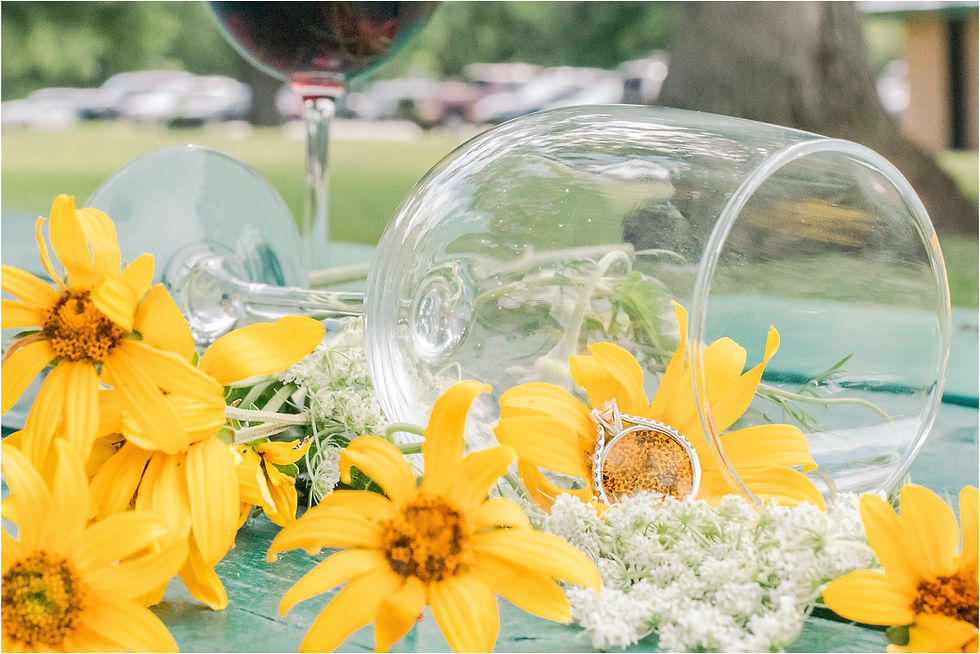 a picnic engagement session at fabyan forest preserve wind mill japanesse garde fabryan windmill fox river bridge wine red wine wineglasses
