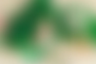 Elaina’s Lucky One cake smash was full of fun, green and pink decor, and sweet moments as she dived right into her cake! 🍀💚