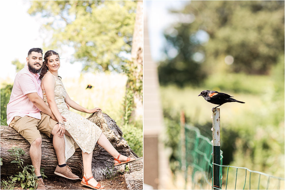 Lincoln park engagement session chi-town lake michigan engagement photographer honeycomb