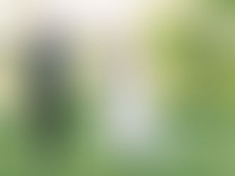 4 Reasons why you should consider a "First Look" before your ceremony.