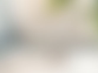 Celebrate love and adventure with Erica and John! Their Milton Lee Olive Park engagement session was full of fun, romance, and nerdy charm.