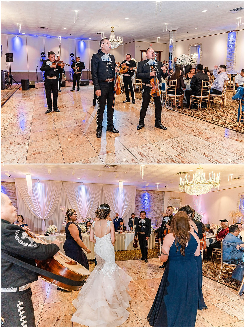 Manzo's Banquet Hall Wedding Des Plaines Illinois Wedding Photographer Navy Blue Betsy Johnson Wedding Shoes Something Blue