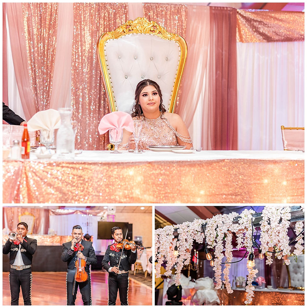 Martinique Banquet Hall Quinceanera Photos Wedding photographer burbank illinois joliet photographer