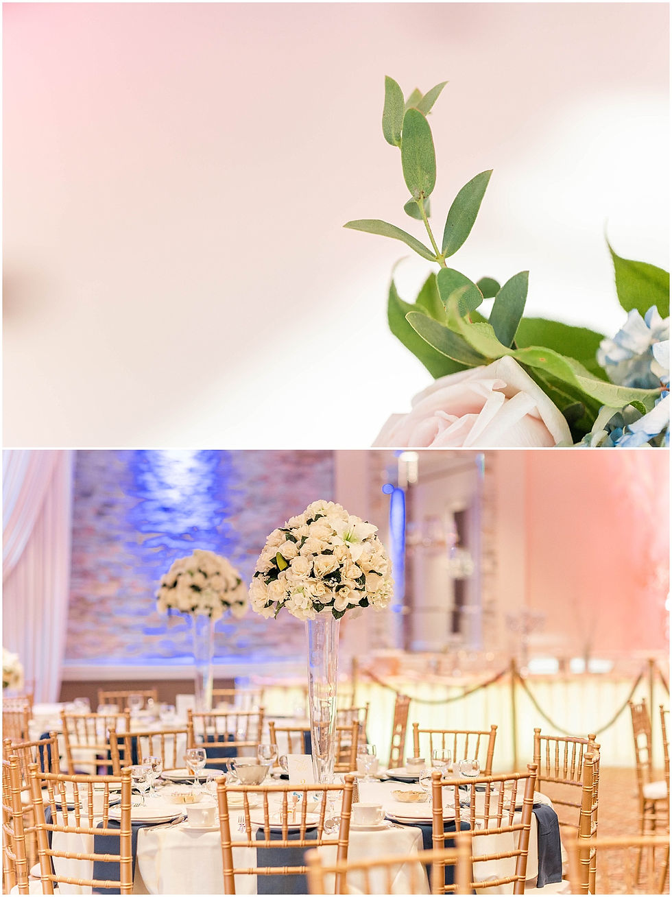 Manzo's Banquet Hall Wedding Des Plaines Illinois Wedding Photographer Navy Blue Betsy Johnson Wedding Shoes Something Blue