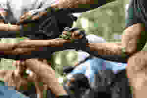 Helping Hand