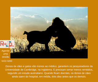 Conviver com animais.... só traz benefícios 1