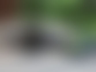 2014 Archive: Questions Parents Ask