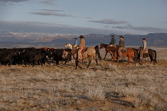 20250304_BB-EvergreenCowboy_10704.jpg