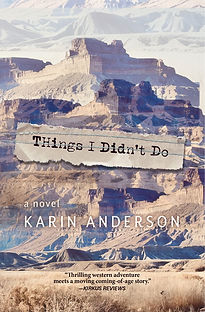 Things I Didn't Do Front Cover Only 0804_2025.jpg