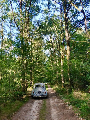 Voiture qui roule sur le chemin au milieu de la forêt qui permet d'arriver jusqu'à la maison