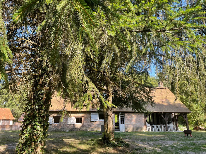 Jardin de la maison entouré de forêt où l'ont voit la terrasse couverte et le barbecue